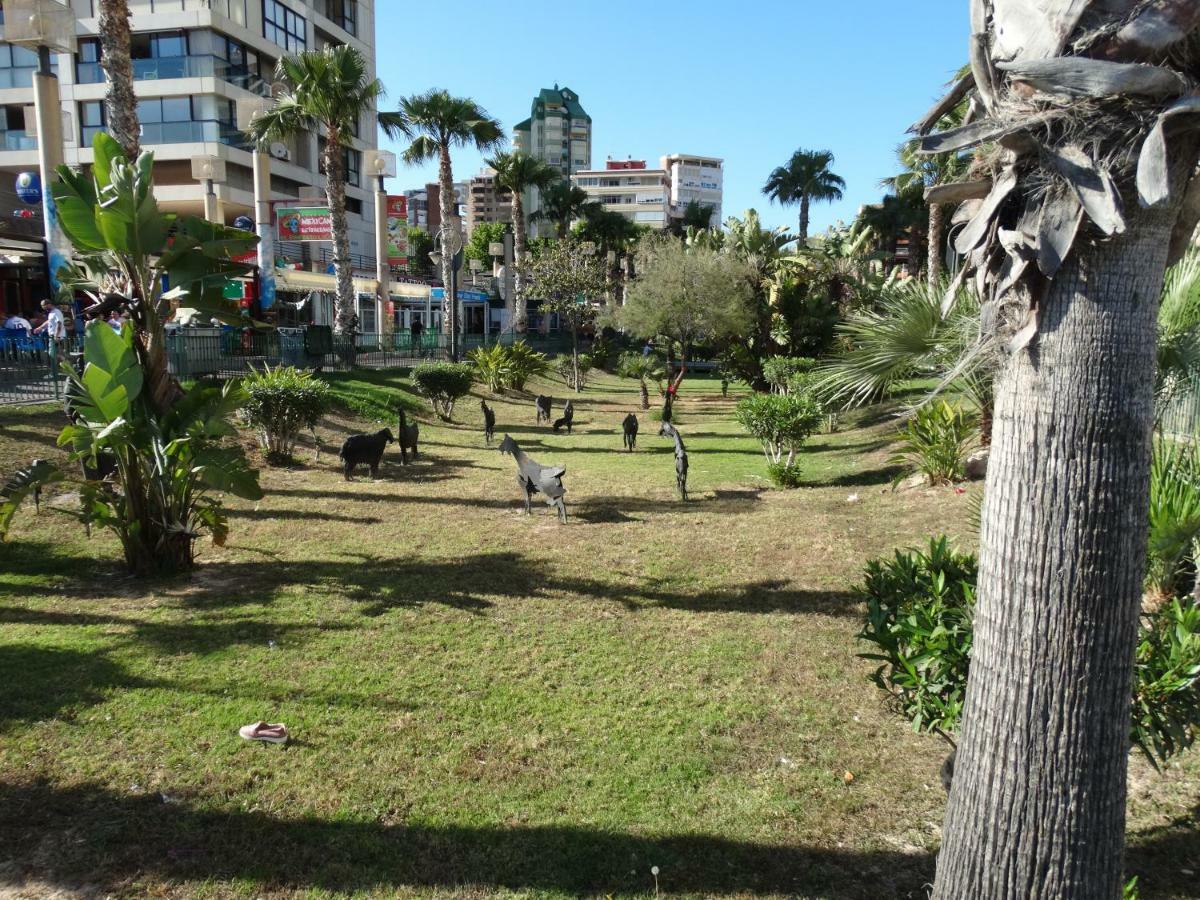 Apartment 2 Bedrooms, 250M Levante Beach Benidorm Extérieur photo